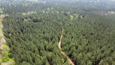 Highway 503, Hickory, MS 39332 photo 19