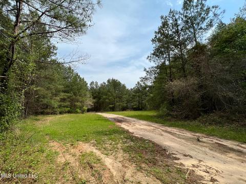 Highway 503, Hickory, MS 39332 photo 5