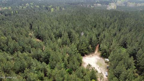 Highway 503, Hickory, MS 39332 photo 18