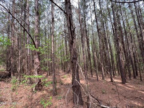 Highway 503, Hickory, MS 39332 photo 14