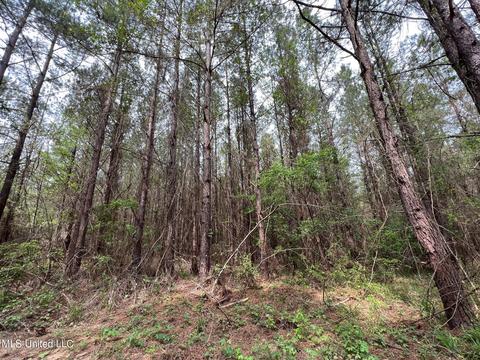 Highway 503, Hickory, MS 39332 photo 12