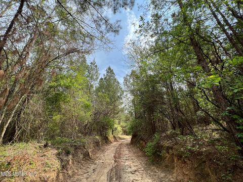 Highway 503, Hickory, MS 39332 photo 3