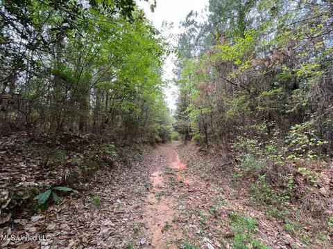 Highway 503, Hickory, MS 39332 photo 17