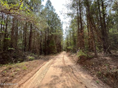 Highway 503, Hickory, MS 39332 photo 4