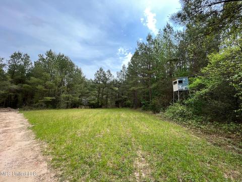 Highway 503, Hickory, MS 39332 photo 8