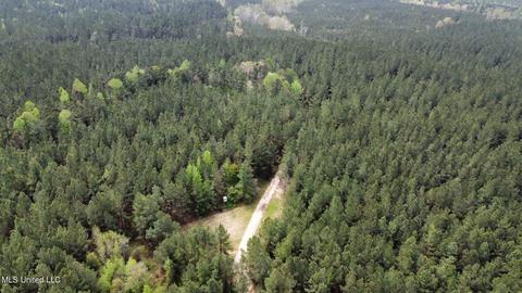 Highway 503, Hickory, MS 39332 photo 20
