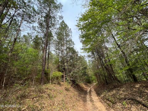 Highway 503, Hickory, MS 39332 photo 16