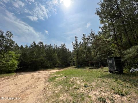 Highway 503, Hickory, MS 39332 photo 2