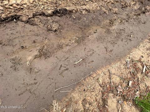 Highway 503, Hickory, MS 39332 photo 7