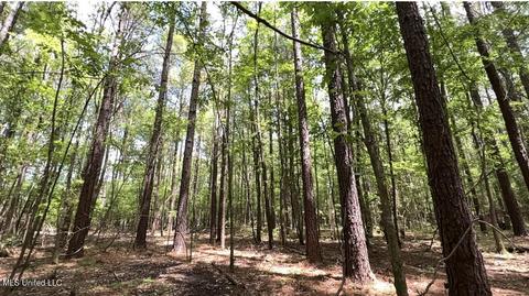 E Petros Rd, Pearl, MS 39208
