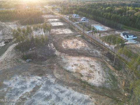 Lot 71 Lost Oak Ln, Brandon, MS 39047