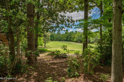 7930 Hapuna Pl, Diamondhead, MS 39525 photo 49