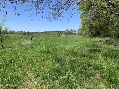 7 Baldwin Rd, Hernando, MS 38632