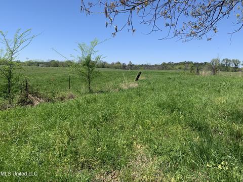 8 Baldwin Rd, Hernando, MS 38632