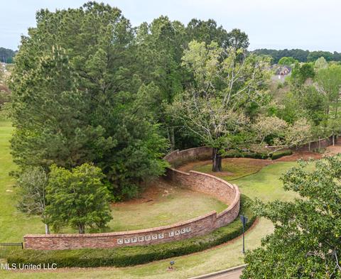208 Culpepper Blvd, Madison, MS 39110 photo 68