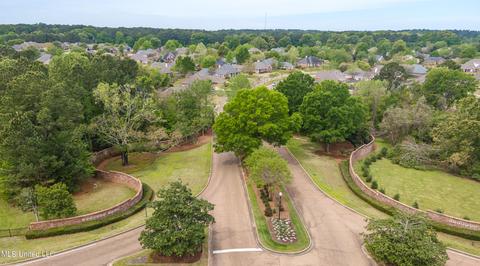 208 Culpepper Blvd, Madison, MS 39110 photo 67
