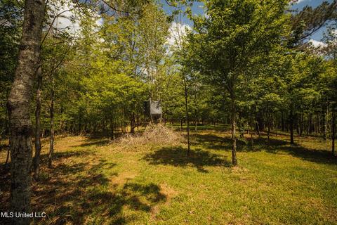 3753 Sparta Rd, Holcomb, MS 38940 photo 43