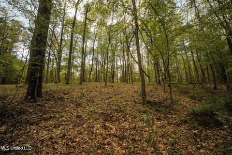 3753 Sparta Rd, Holcomb, MS 38940 photo 40
