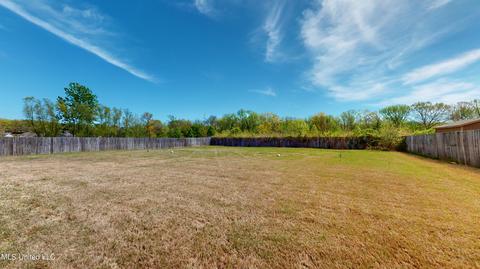 2796 S Flora Lee Dr, Nesbit, MS 38651 photo 28
