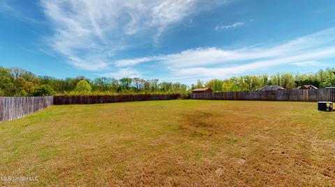 2796 S Flora Lee Dr, Nesbit, MS 38651 photo 30
