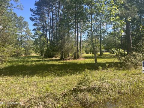 Michael Drive, Moss Point, MS 39562 photo 5