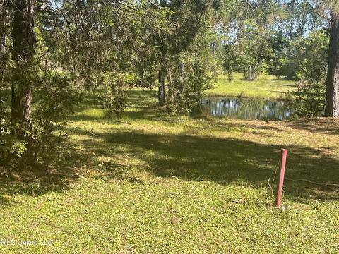 Michael Drive, Moss Point, MS 39562 photo 9