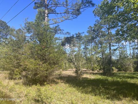 Michael Drive, Moss Point, MS 39562 photo 2