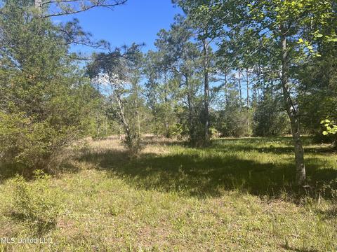 Michael Drive, Moss Point, MS 39562 photo 6