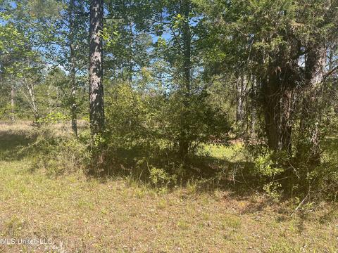 Michael Drive, Moss Point, MS 39562 photo 3