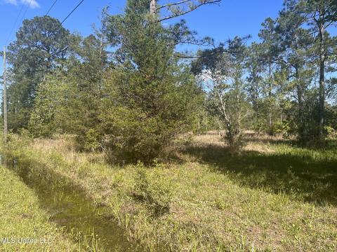 Michael Drive, Moss Point, MS 39562 photo 4