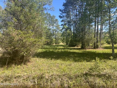 Michael Drive, Moss Point, MS 39562