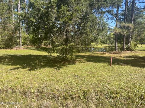 Michael Drive, Moss Point, MS 39562 photo 8