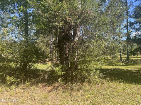 Michael Drive, Moss Point, MS 39562 photo 7