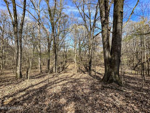 Tate-panola Road, Como, MS 38619 photo 71