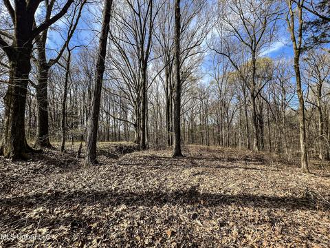 Tate-panola Road, Como, MS 38619 photo 70