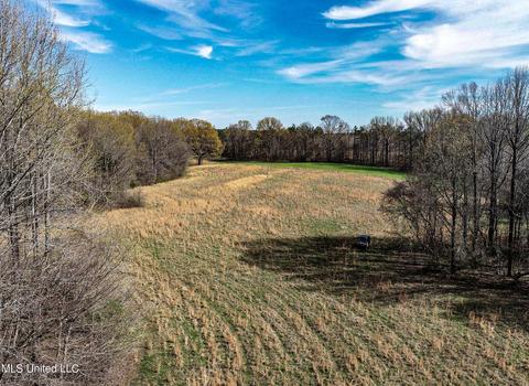 Tate-panola Road, Como, MS 38619 photo 26