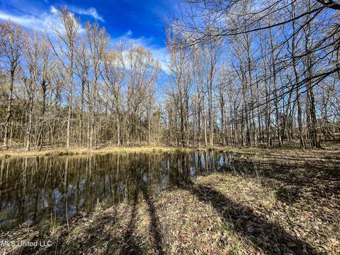 Tate-panola Road, Como, MS 38619 photo 61