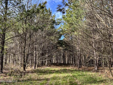 Tate-panola Road, Como, MS 38619 photo 89