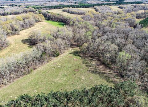 Tate-panola Road, Como, MS 38619 photo 33