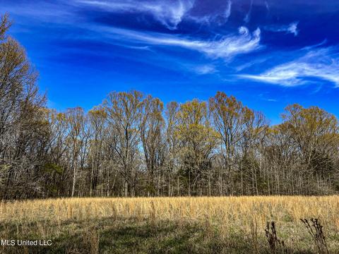 Tate-panola Road, Como, MS 38619 photo 67