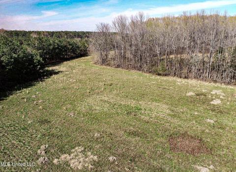 Tate-panola Road, Como, MS 38619 photo 38
