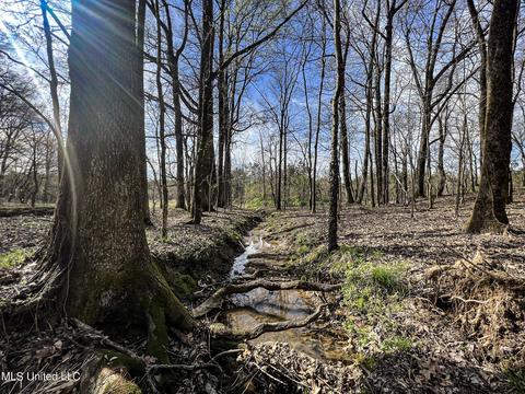 Tate-panola Road, Como, MS 38619 photo 77