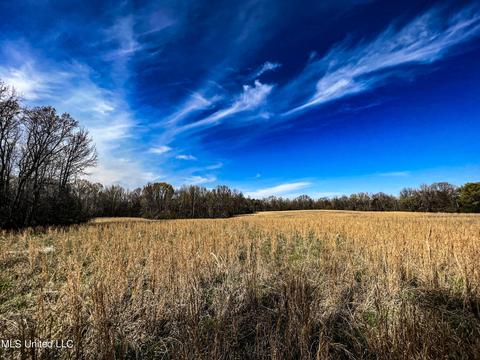 Tate-panola Road, Como, MS 38619 photo 59