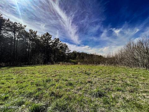 Tate-panola Road, Como, MS 38619 photo 52
