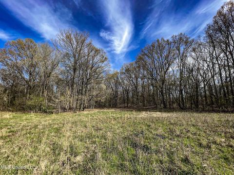 Tate-panola Road, Como, MS 38619 photo 78