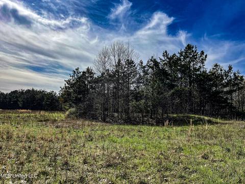 Tate-panola Road, Como, MS 38619 photo 57