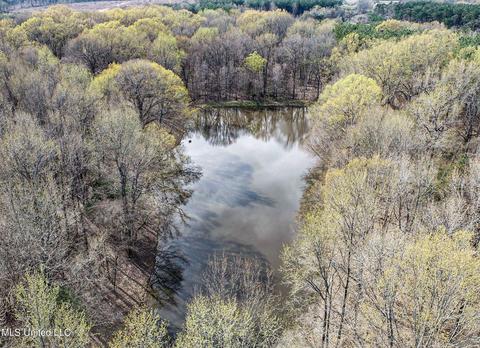 Tate-panola Road, Como, MS 38619 photo 41