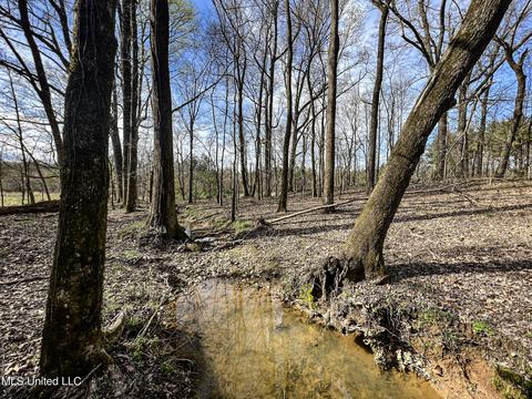 Tate-panola Road, Como, MS 38619 photo 76