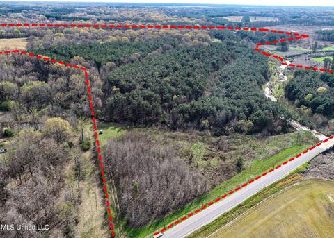 Tate-panola Road, Como, MS 38619 photo 6