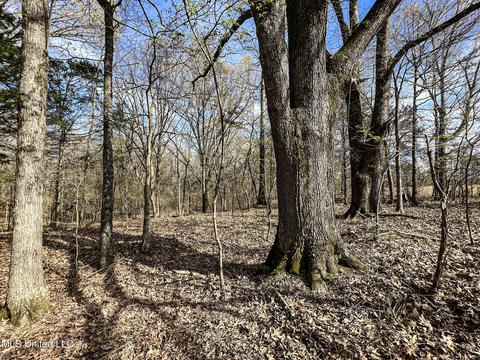 Tate-panola Road, Como, MS 38619 photo 69
